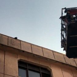 Avcılar'da kedi için yıkıma ara verildi